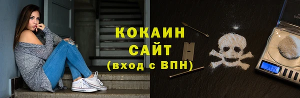 спайс Богданович