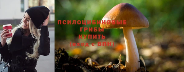спайс Богданович