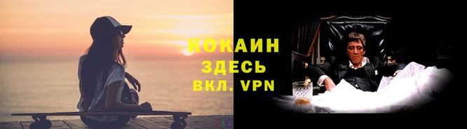 спайс Богданович