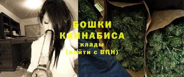 спайс Богданович